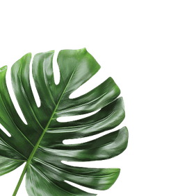 leaf-left