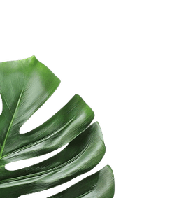 left-leaf